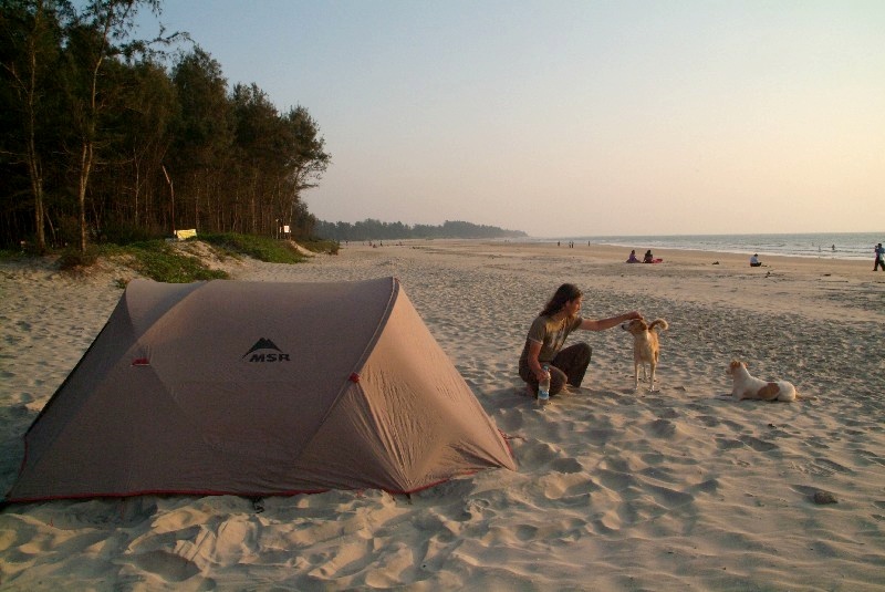 Maharashtra und Goa, Indien: zelten mit Hunden am Strand in Tarkali