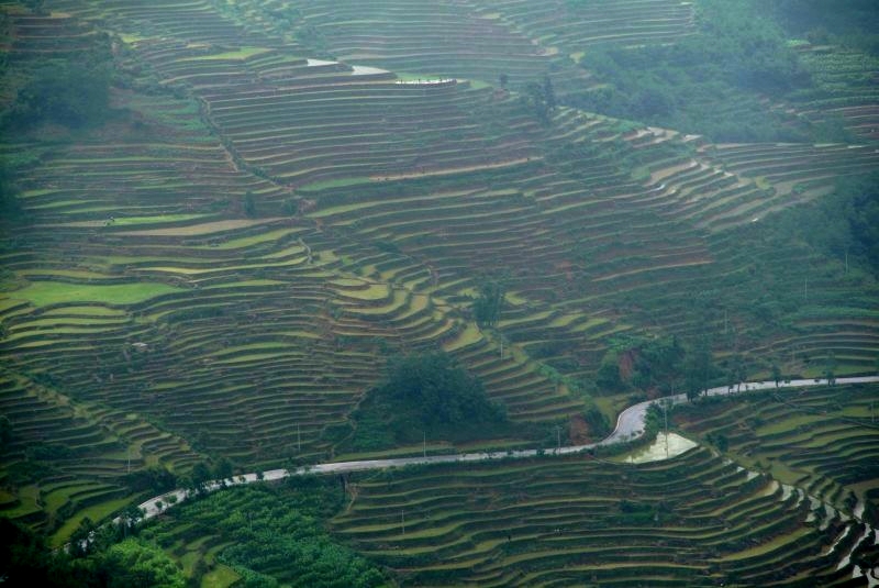 china4_027-die-reisterassen-von-yuenyang.jpg